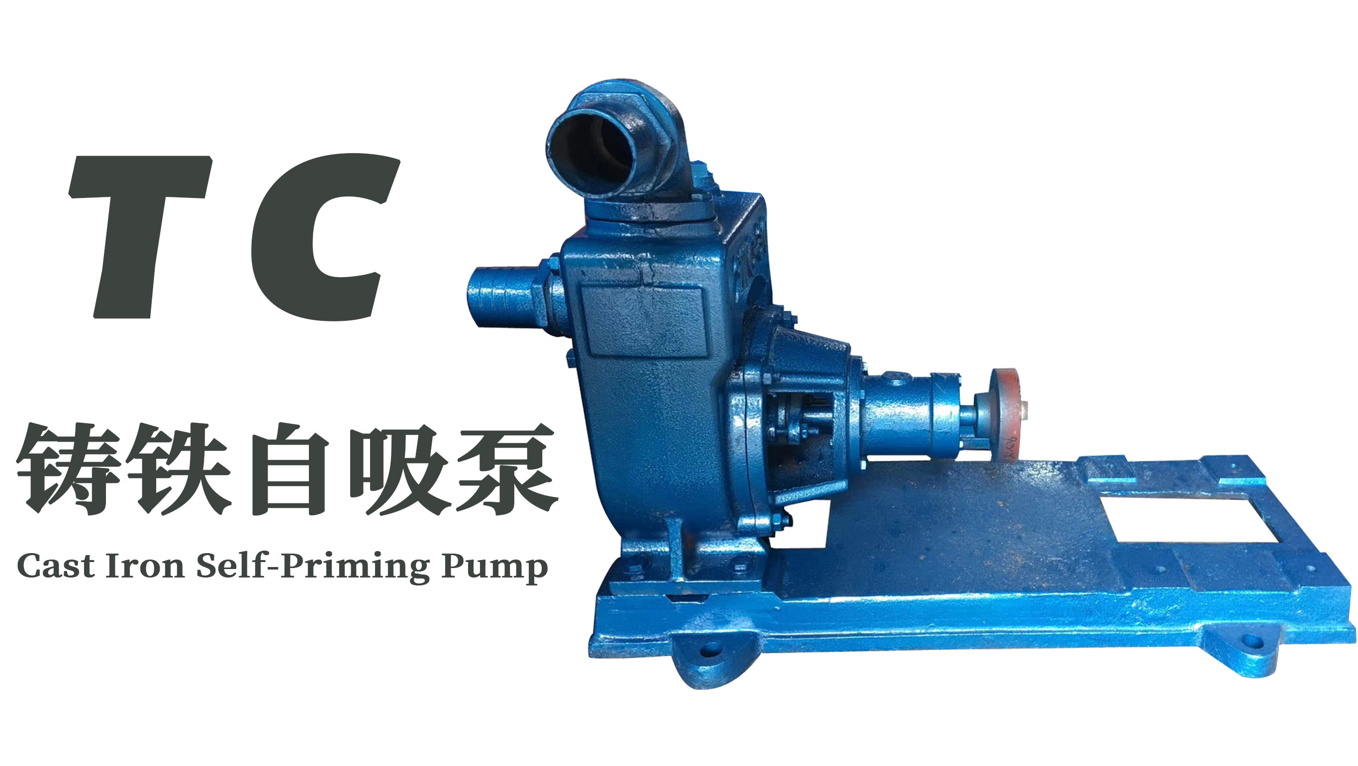 TC鑄鐵分體自吸泵